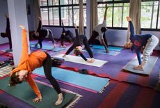 vedic_yoga_courses_500hrs